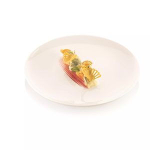 Silikomart Professional Ventaglio – silikonmatta GN 1/1 tuile solfjäder